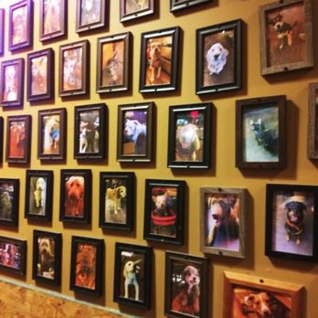 OHSO Distillery - Dog customer pics-very dog friendly - New American Near Me - Scottsdale, Arizona OHSO Distillery - Dog customer pics-very dog friendly - New American Near Me - Scottsdale, Arizona