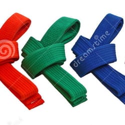Master Do's Taekwondo Academy