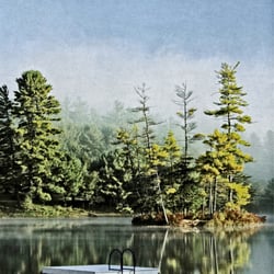 Your Personal Touch Too - Misty fall morning in Freedom, NH