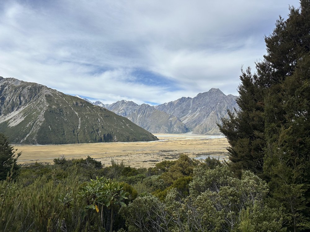 Terrain Acupuncture & Health Counseling - grief counselor in Frisco, TX