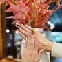 Photo of Dahlia Nails & Spa