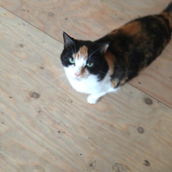 Bee Land Aka Jubilee Mountain Apiary - Shop cat - Specialty Food Near Me - Spillimacheen, British Columbia Bee Land Aka Jubilee Mountain Apiary - Shop cat - Specialty Food Near Me - Spillimacheen, British Columbia