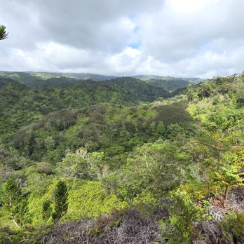 North Shore EcoTours - Hiking Near Me - Haleiwa, Hawaii North Shore EcoTours - Hiking Near Me - Haleiwa, Hawaii