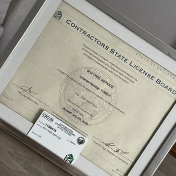 MD Tree Service - Our business contractor Lic - Tree Services Near Me - Orinda, California MD Tree Service - Our business contractor Lic - Tree Services Near Me - Orinda, California