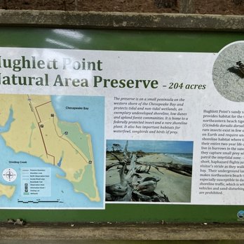 Hughlett Point Natural Preserve - Parks Near Me - Kilmarnock, Virginia Hughlett Point Natural Preserve - Parks Near Me - Kilmarnock, Virginia