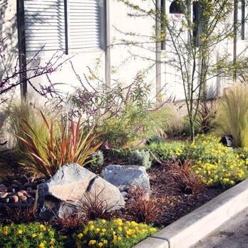 LandGraphics - a flower bed in front of a house - Landscaping Near Me - San Diego, California LandGraphics - a flower bed in front of a house - Landscaping Near Me - San Diego, California