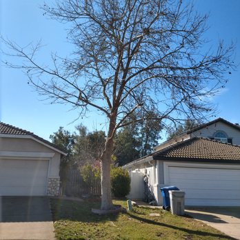 EG Tree Service - Tree Services Near Me EG Tree Service - Tree Services Near Me
