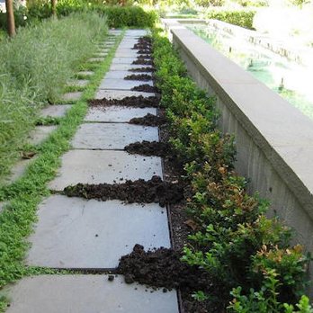 Gopher Team - Pest Control Near Me - Concord, California Gopher Team - Pest Control Near Me - Concord, California