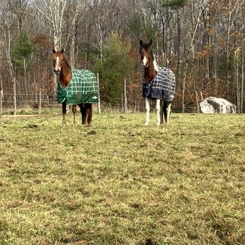 High Meadows Farms - Horseback Riding Near Me - Wolfeboro, New Hampshire High Meadows Farms - Horseback Riding Near Me - Wolfeboro, New Hampshire