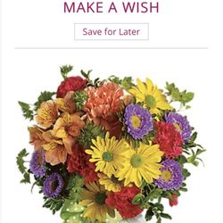 Sacalis Florist - This is the website pic I selected (Identical except for my personal little changes)