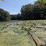Photo of Longfellow Pond