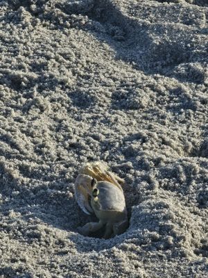Lori Wilson Park by null