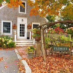 Fall at In Full Bloom.