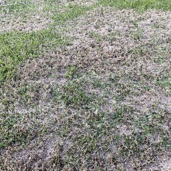 Irrigation Solutions - $4000.00 later. - Irrigation Near Me - Meadowlakes, Texas Irrigation Solutions - $4000.00 later. - Irrigation Near Me - Meadowlakes, Texas
