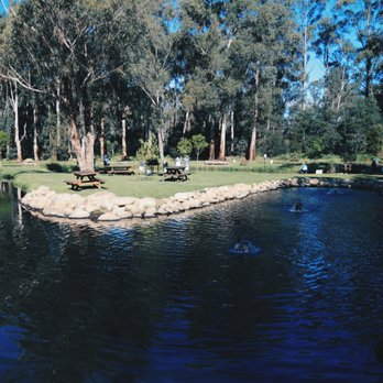 Buxton Trout & Salmon Farm - Relax by the Stevenson's river. - Farms Near Me - Buxton, VIC Buxton Trout & Salmon Farm - Relax by the Stevenson's river. - Farms Near Me - Buxton, VIC