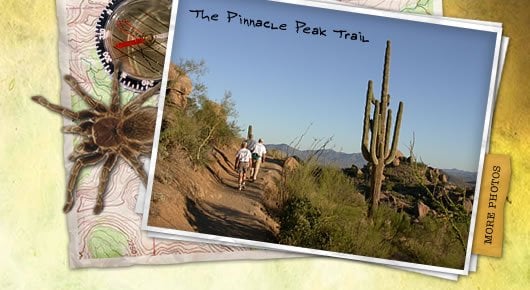 Pinnacle Peak by null