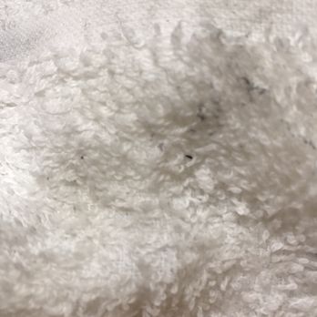 Quality Inn - I dusted. The bureau and headboard were absolutely filthy. Here is the (white) cloth after I finished. - Hotels Near Me - Buffalo, Wyoming Quality Inn - I dusted. The bureau and headboard were absolutely filthy. Here is the (white) cloth after I finished. - Hotels Near Me - Buffalo, Wyoming
