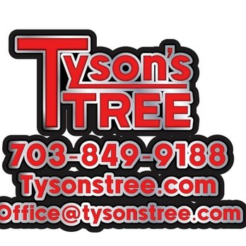 Tyson's Tree Service - Tree Services Near Me - Sterling, Virginia Tyson's Tree Service - Tree Services Near Me - Sterling, Virginia
