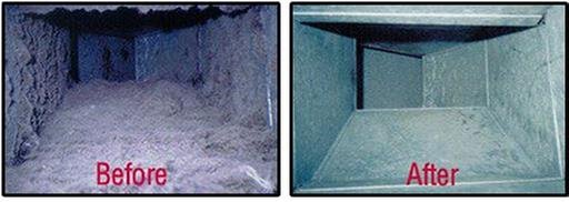 Specialized Cleaning Service - mold inspector in Dousman, WI