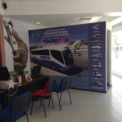 Vivexpress