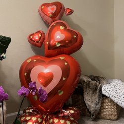 Dibiaso's Florist & Gifts - 2023 Dibiaso's Valentine Arrangement / Dawn
