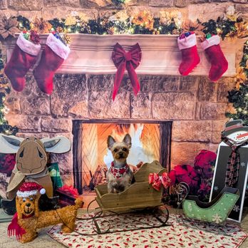 Jess's Pampered Pups - Pet Groomers Near Me - Driggs, Idaho Jess's Pampered Pups - Pet Groomers Near Me - Driggs, Idaho