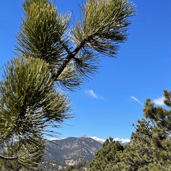 Mt. Sanitas Trail - Hiking Near Me - Boulder, Colorado