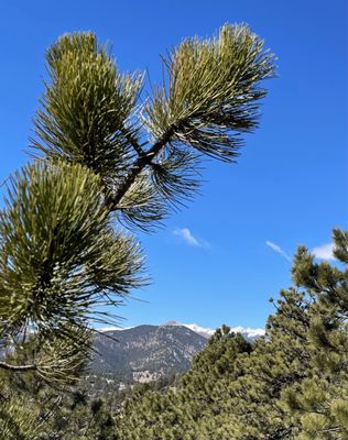 Mount Sanitas Trailhead by null