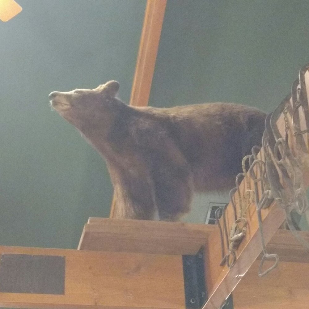 My Place Bar-B-Q - Bear decor - Barbeque Near Me - Muskogee, Oklahoma My Place Bar-B-Q - Bear decor - Barbeque Near Me - Muskogee, Oklahoma