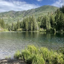 Crystal River Jeep Tours - Views