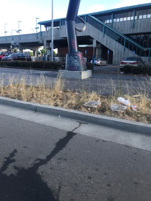 Oakland City Hall by null