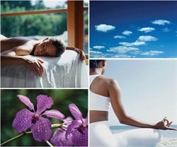 MyoCare Registered Massage Therapy + Wellness by null