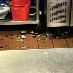 QDOBA Mexican Eats - Dirty behind the food prep counter