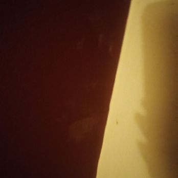 Red Roof - Wall stains - Hotels Near Me - Alsip, Illinois Red Roof - Wall stains - Hotels Near Me - Alsip, Illinois