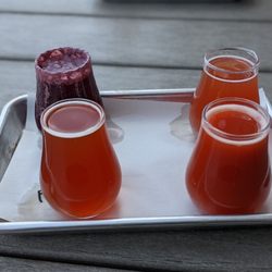 Tin Barn Brewing - Mixed flight of Sours