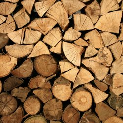 The Firewood Gals