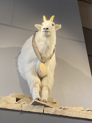 Gilded Goat Brewing Company by null