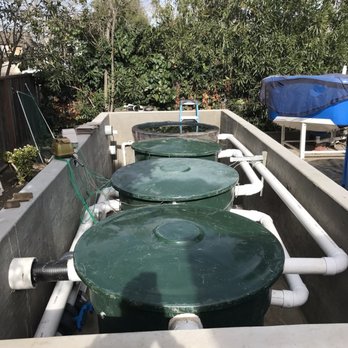 A-1 Koi Ponds - Hooking up new drain lines to existing filters, adding intake lines to normalize flow - Local Fish Stores Near Me - San Ramon, California