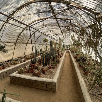 Moorten Botanical Garden - Nurseries & Gardening Near Me - Palm Springs, California Moorten Botanical Garden - Nurseries & Gardening Near Me - Palm Springs, California