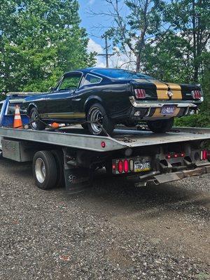 24/7 Roadside Assistance - Towing - extrication - light battery service - gas delivery - lockouts - tire service
Call us anytime day or night and we'll pick you up! 24/7 Roadside Assistance - Towing - extrication - light battery service - gas delivery - lockouts - tire service
Call us anytime day or night and we'll pick you up!