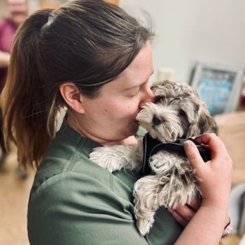 University West Pet Clinic - Veterinarians Near Me - Clive, Iowa University West Pet Clinic - Veterinarians Near Me - Clive, Iowa