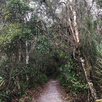 Enchanted Forest Sanctuary - Biodiversity Trail - Hiking Near Me - Titusville, Florida Enchanted Forest Sanctuary - Biodiversity Trail - Hiking Near Me - Titusville, Florida