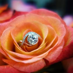 Bishop's Jewelry Gallery - Engagement Ring Available in Rose Gold, Yellow Gold, White Gold or Platinum