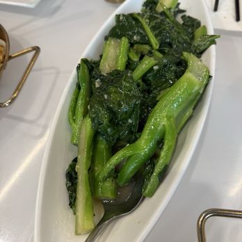 Joy Yee - Evanston - Chinese broccoli in garlic sauce - Noodles Near Me - Evanston, Illinois Joy Yee - Evanston - Chinese broccoli in garlic sauce - Noodles Near Me - Evanston, Illinois
