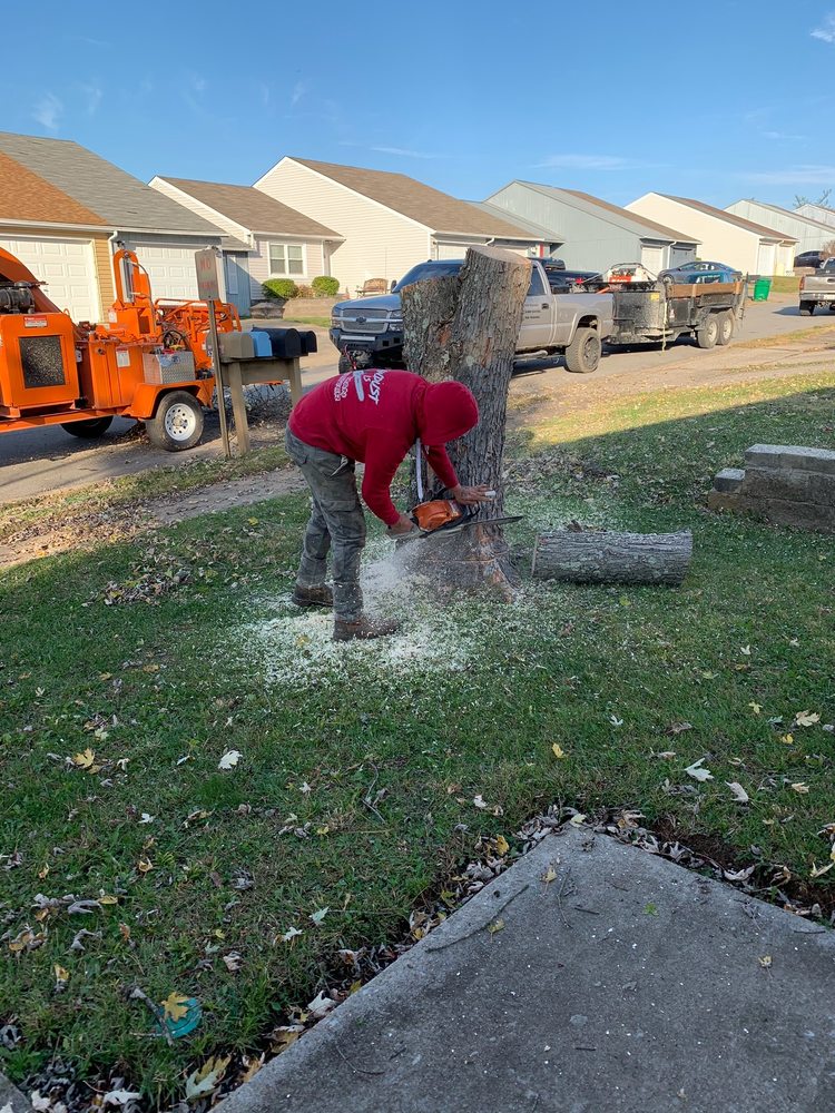 A TOP NOTCH TREE SERVICE Updated June 2024 13 Photos