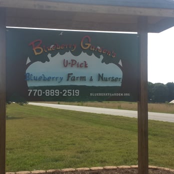 Blueberry Garden - The sign out front - CSA Near Me - Cumming, Georgia Blueberry Garden - The sign out front - CSA Near Me - Cumming, Georgia