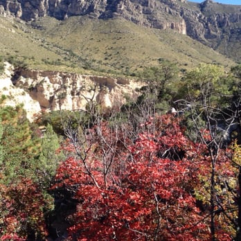 Guadalupe Mountains National Park - Views of the mountain and trees in the wash - Parks Near Me - Salt Flat, Texas