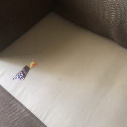 Food under couch cushion Food under couch cushion