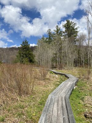 Mountain Top Arboretum by null