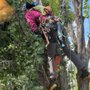 Maloney Tree Care
